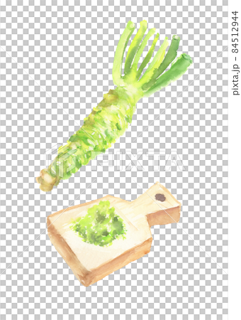 水彩で描いたすりおろしたワサビのイラスト 84512944