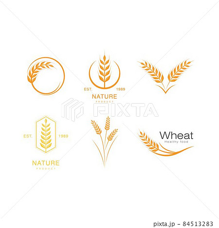 Wheat illustration design 84513283