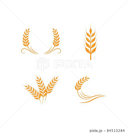 Wheat illustration design Wheat illustration design 84513284