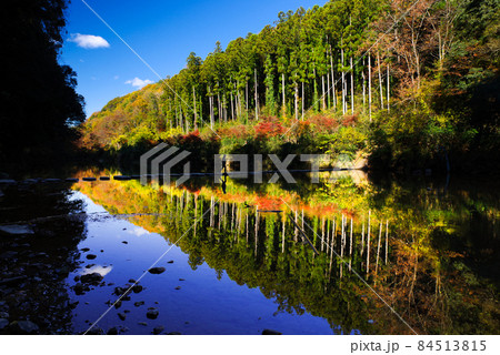嵐山渓谷の紅葉【埼玉県】 84513815