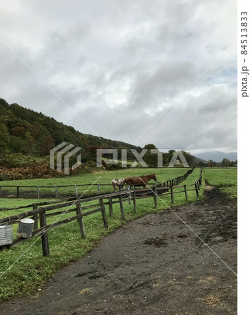 牧場風景 牧場風景 84513833