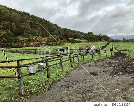 牧場風景 84513834