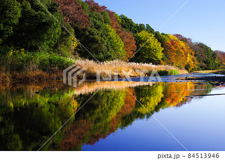 嵐山渓谷の紅葉【埼玉県】 84513946