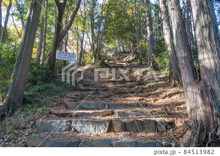 多峰主山の山頂直下にある子供用の鎖場(奥武蔵自然公園) 多峰主山の山頂直下にある子供用の鎖場(奥武蔵自然公園) 84513982