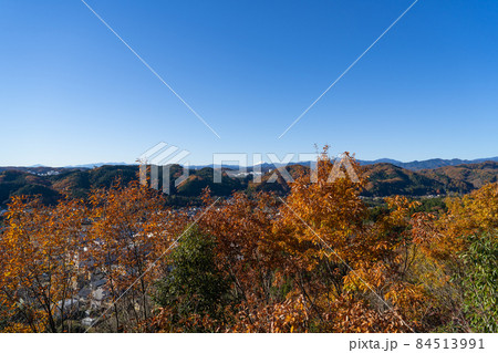 天覧山の山頂から見た富士山（奥武蔵自然公園） 84513991