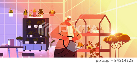 senior woman gardener with watering can taking care of potted plants at home garden living room or office interior 84514228
