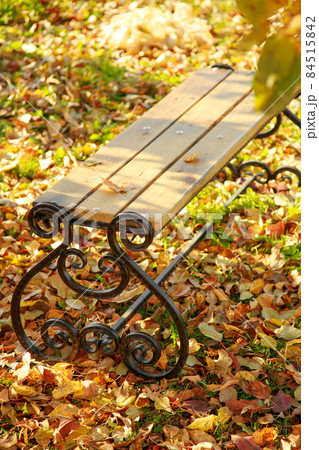 Industry making a forging bench in the fall in the garden in the foliage under the tree. Autumn garden background 84515842