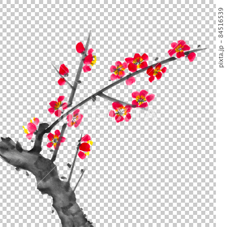 水墨画技法で描いた紅梅のイラスト素材 [84516539] - PIXTA