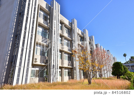 長崎大学　国立大学法人長崎大学　長崎大学文教町キャンパス 84516802