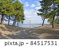 海が見える公園 84517531