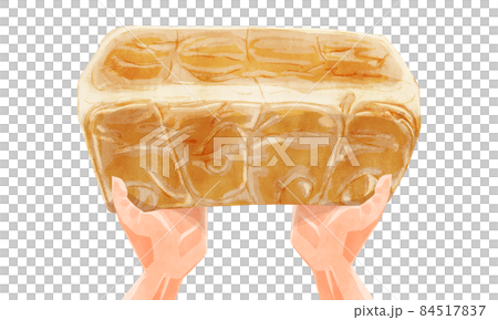 焼きたて食パン一斤の手書き水彩風イラスト 84517837