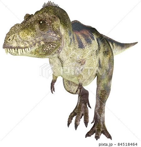 T-REX☆ティラノサウルス☆Tyrannosaur 84518464