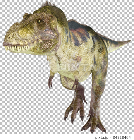 T-REX ☆ Tyrannosaurus ☆ Tyrannosaur 84518464
