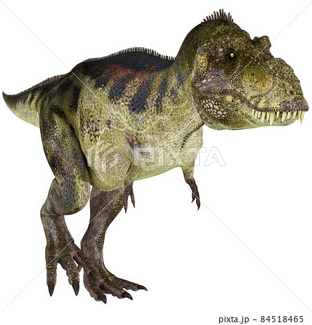 T Rex ティラノサウルス Tyrannosaurのイラスト素材