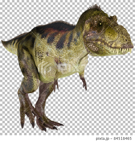 T-REX ☆ Tyrannosaurus ☆ Tyrannosaur T-REX ☆ Tyrannosaurus ☆ Tyrannosaur 84518465