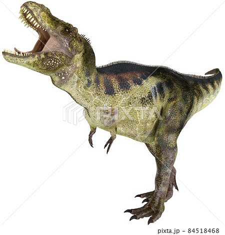 T-REX☆ティラノサウルス☆Tyrannosaur 84518468