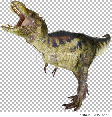 T-REX☆ティラノサウルス☆Tyrannosaur 84518468