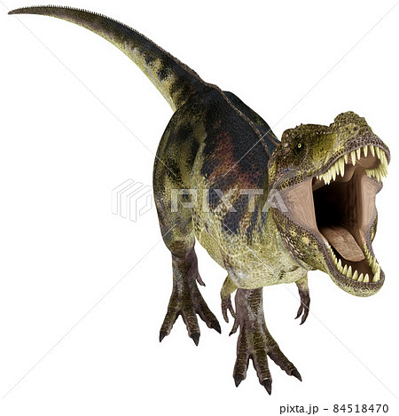 T-REX☆ティラノサウルス☆Tyrannosaur 84518470