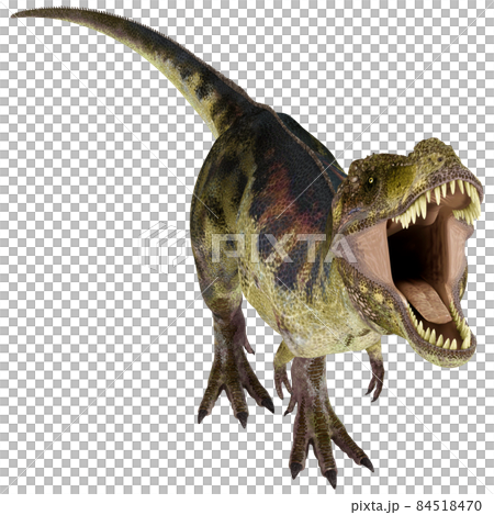 T-REX☆ティラノサウルス☆Tyrannosaur 84518470