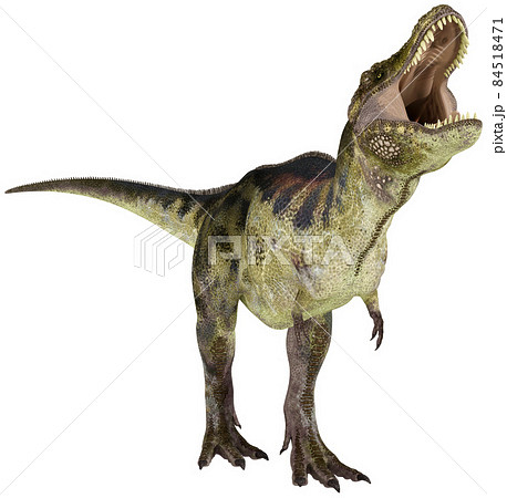 T-REX☆ティラノサウルス☆Tyrannosaur 84518471