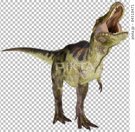T-REX☆ティラノサウルス☆Tyrannosaur 84518471