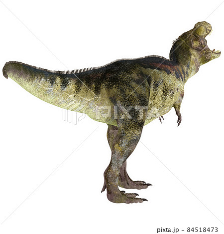 T-REX☆ティラノサウルス☆Tyrannosaur 84518473
