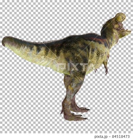 T-REX☆ティラノサウルス☆Tyrannosaur 84518473