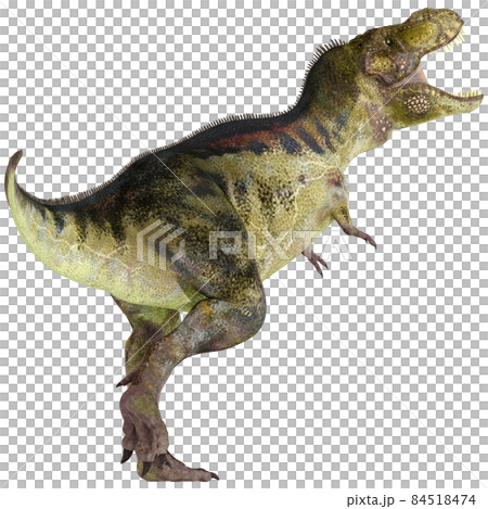 T-REX ☆ 霸王龍 ☆ 霸王龍 T-REX ☆ 霸王龍 ☆ 霸王龍 84518474