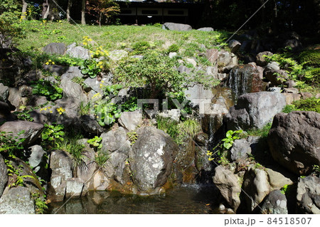 殿ヶ谷戸庭園の次郎弁天池 殿ヶ谷戸庭園の次郎弁天池 84518507