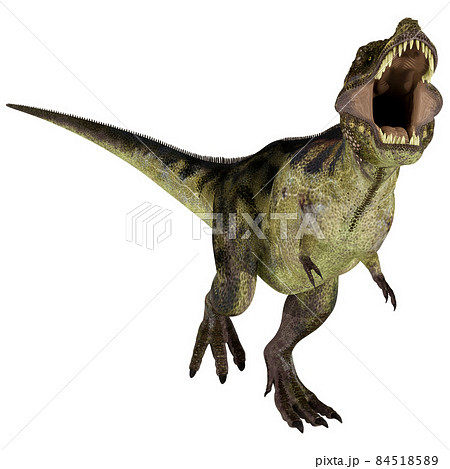 T-REX☆ティラノサウルス☆Tyrannosaur 84518589