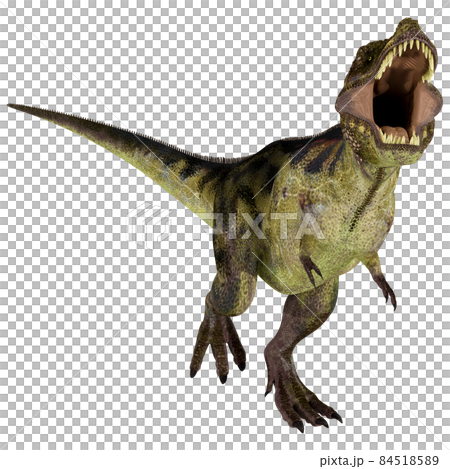 T-REX☆ティラノサウルス☆Tyrannosaur 84518589