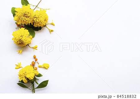 yellow flowers marigold flora of asia arrangement flat lay postcard style yellow flowers marigold flora of asia arrangement flat lay postcard style 84518832