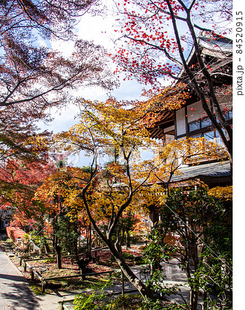 都筑区のお寺風景 84520915