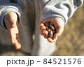 どんぐり見つけたよ 84521576