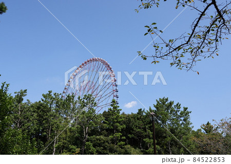 東京都江戸川区の葛西臨海公園の風景 84522853