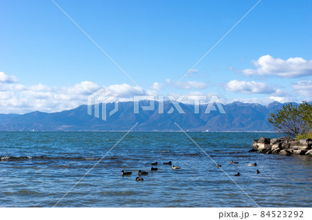 初冬の比良山系と琵琶湖の水鳥 初冬の比良山系と琵琶湖の水鳥 84523292