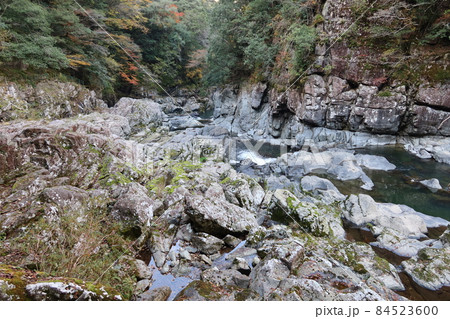 日本の川の紅葉風景：山口県山口市の長門峡と阿武川 84523600