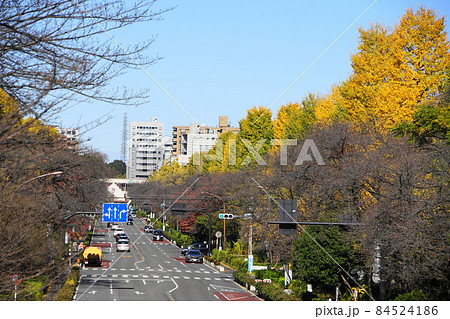 11月 国立80国立駅舎とイチョウ(銀杏)の黄葉・大学通り 11月 国立80国立駅舎とイチョウ(銀杏)の黄葉・大学通り 84524186