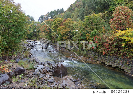 北海道伊達市北湯沢温泉町を流れる長流（おさる）川と白絹の床と紅葉の景色 84524283