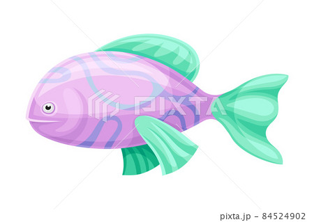 Beautiful colorful tropical exotic pink fish vector illustration 84524902