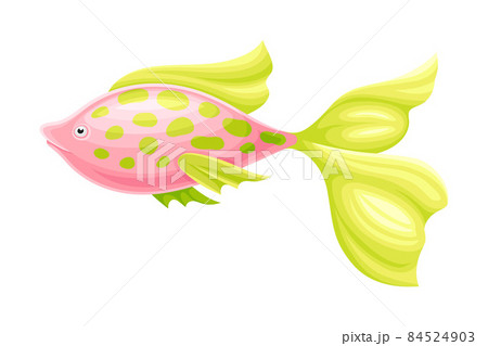 Colorful tropical exotic pink fish vector illustration on white background 84524903