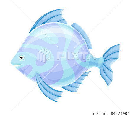 Marine tropical fish. Beautiful light blue exotic fish vector illustration 84524904