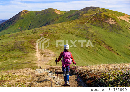秋の平標山を登る登山者 秋の平標山を登る登山者 84525890