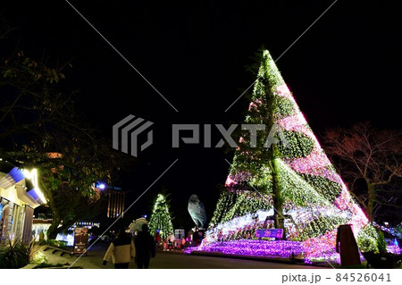 御殿場高原 時之栖イルミネーション 84526041