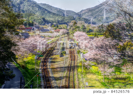 日田彦山線とさくら 84526576