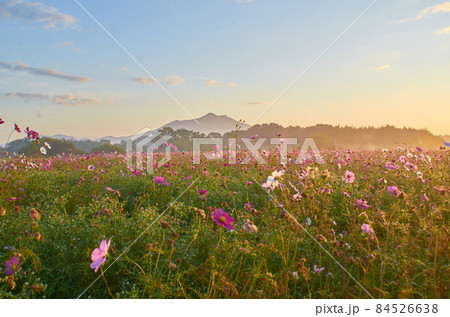筑波山 朝もや 筑波山 朝もや 84526638