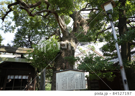 品川 大井町 鹿嶋神社 品川 大井町 鹿嶋神社 84527197