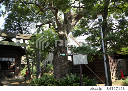 品川 大井町 鹿嶋神社 品川 大井町 鹿嶋神社 84527198