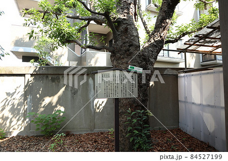 品川 大井町 鹿嶋神社 品川 大井町 鹿嶋神社 84527199
