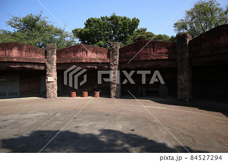 大森貝塚遺跡庭園 大森貝塚遺跡庭園 84527294